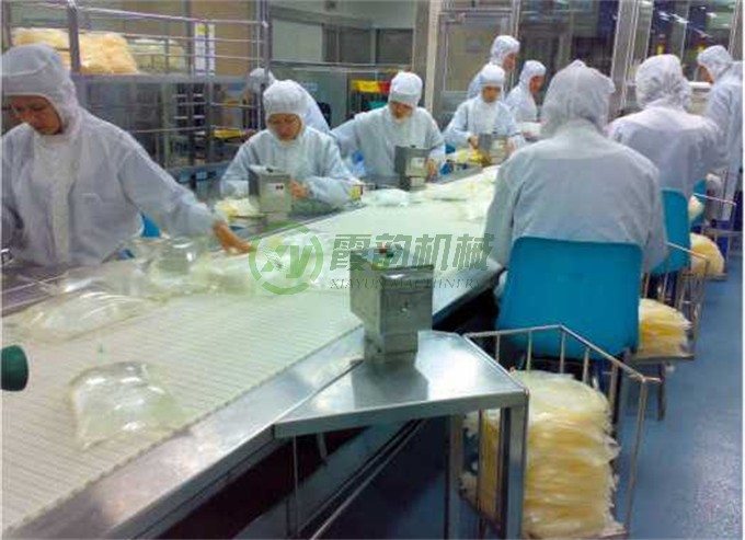 小袋式输送流水线 (5)